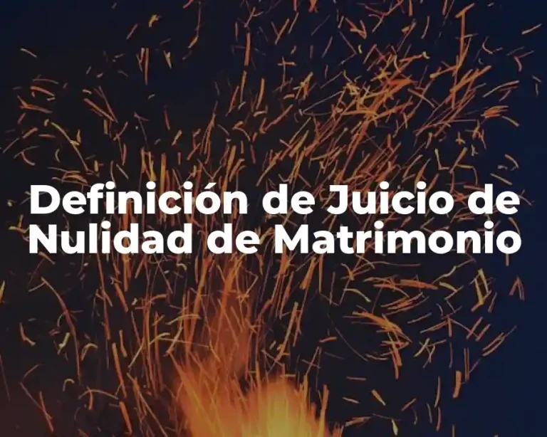 Definición de Juicio de Nulidad de Matrimonio