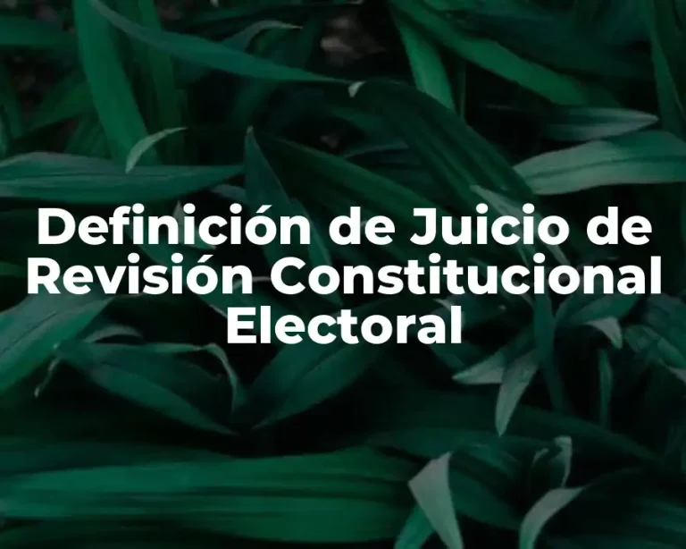Definición de Juicio de Revisión Constitucional Electoral