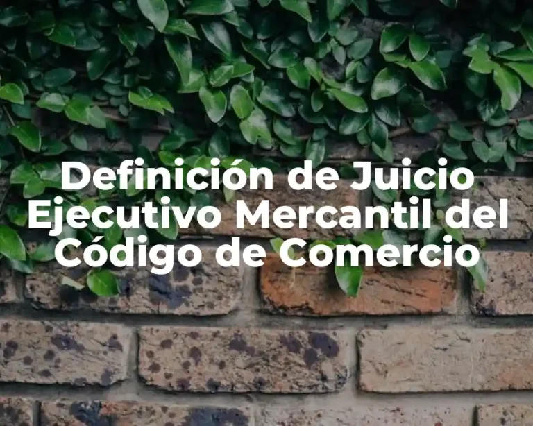 Definición de Juicio Ejecutivo Mercantil del Código de Comercio