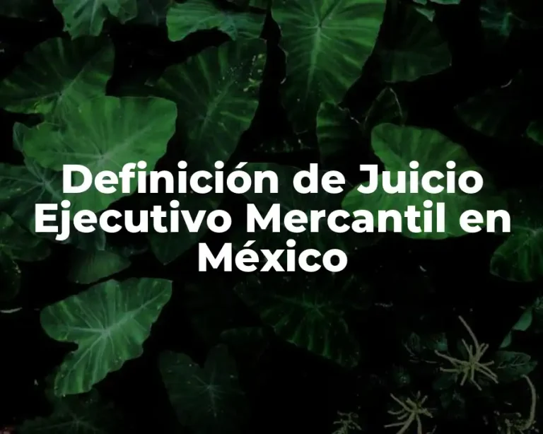 Definición de Juicio Ejecutivo Mercantil en México