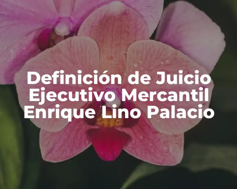 Definición de Juicio Ejecutivo Mercantil Enrique Lino Palacio