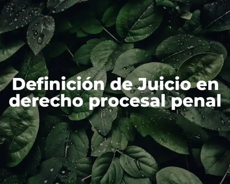 Definición de Juicio en derecho procesal penal