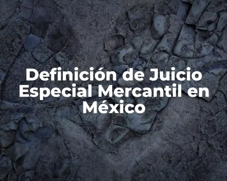 Definición de Juicio Especial Mercantil en México
