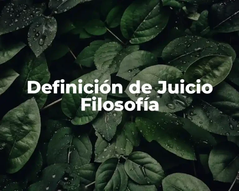Definición de Juicio Filosofía