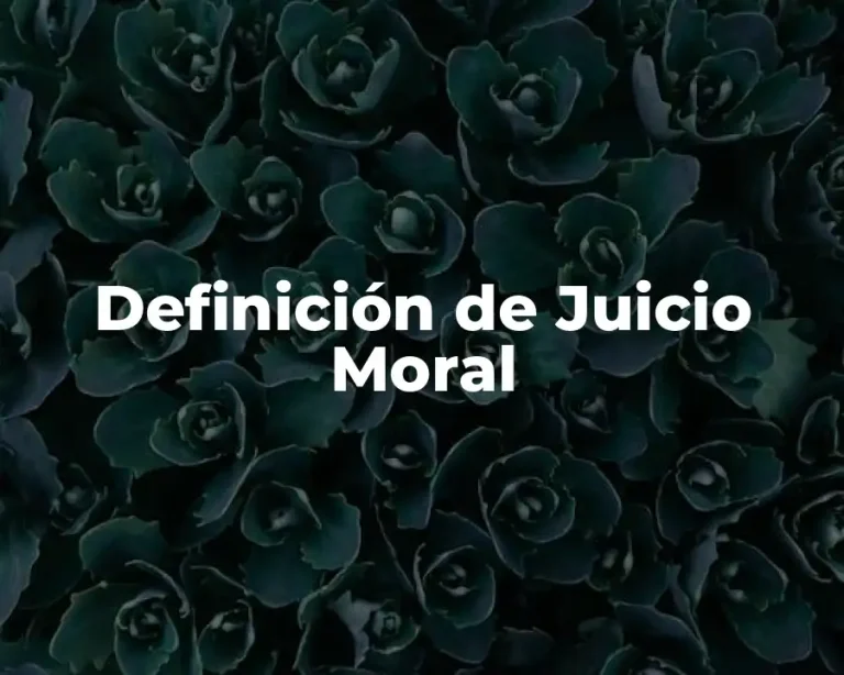 Definición de Juicio Moral