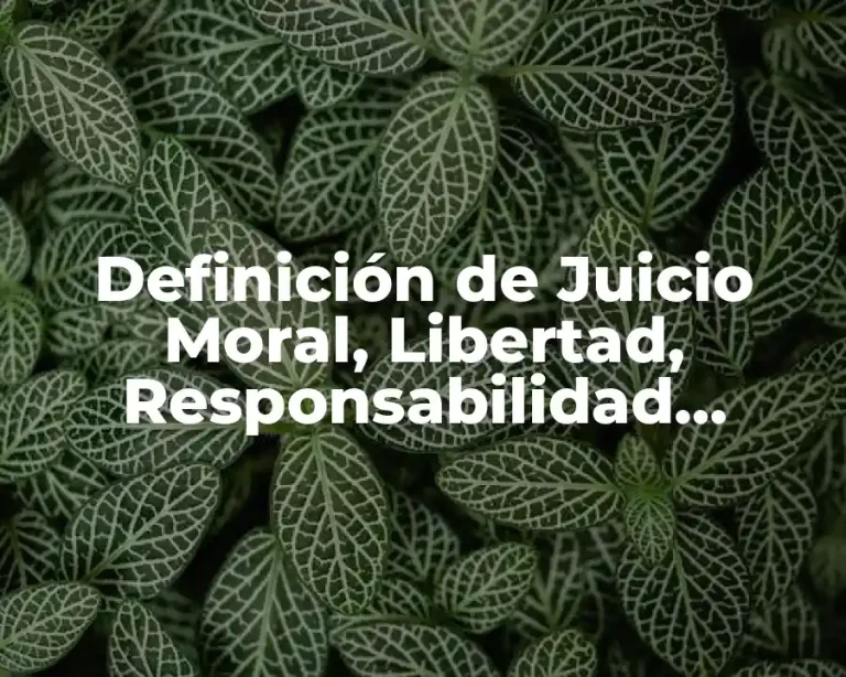 Definición de Juicio Moral, Libertad, Responsabilidad, Autonomía y Heteronomía
