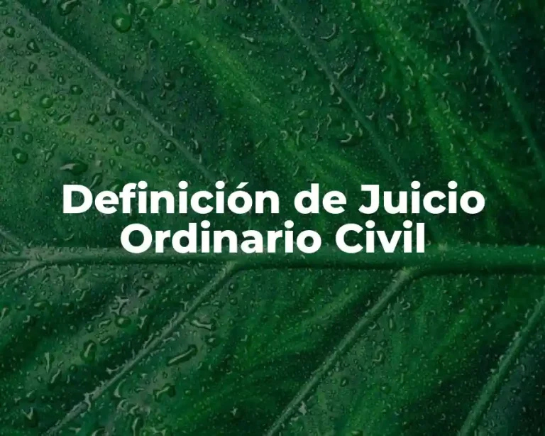 Definición de Juicio Ordinario Civil