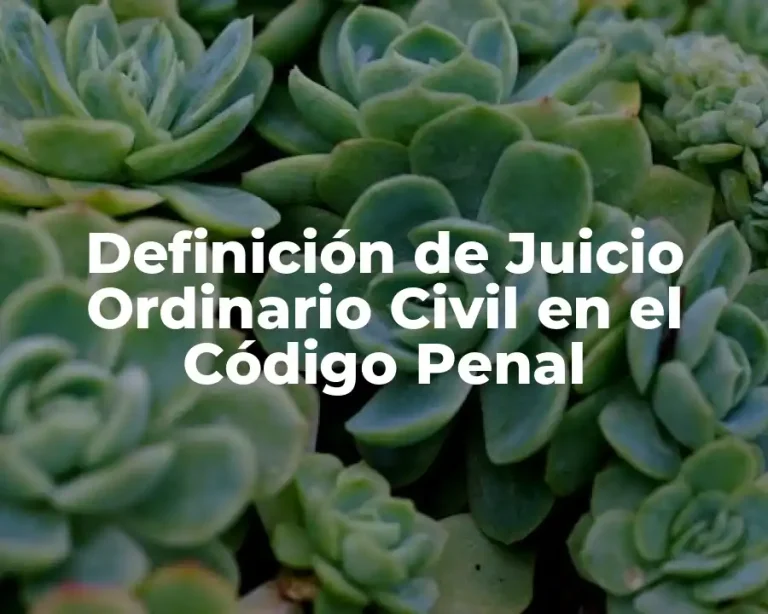 Definición de Juicio Ordinario Civil en el Código Penal