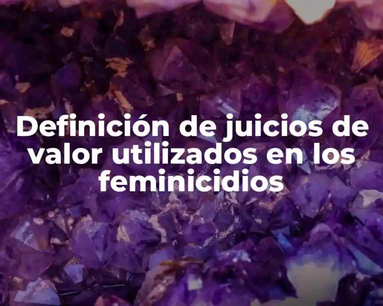 Definición de juicios de valor utilizados en los feminicidios