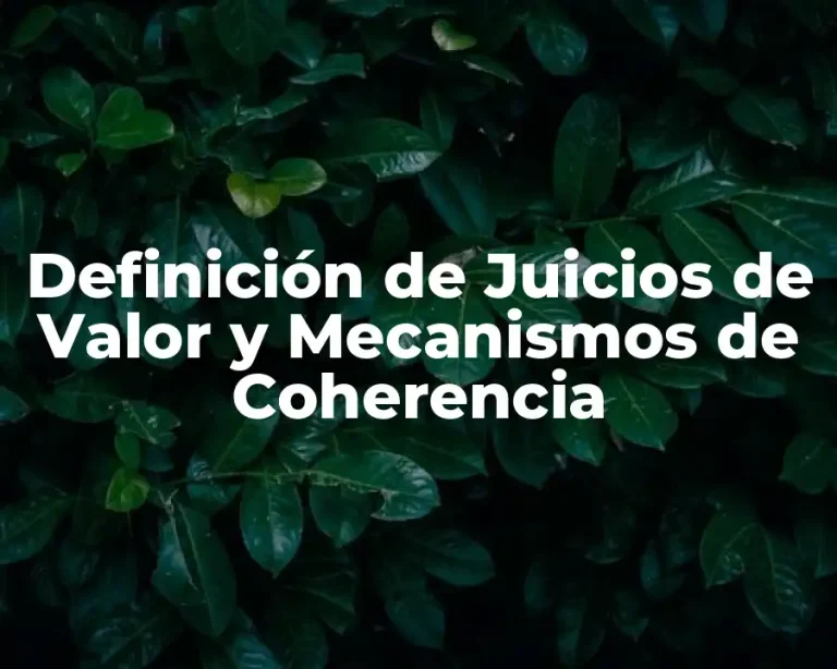 Definición de Juicios de Valor y Mecanismos de Coherencia