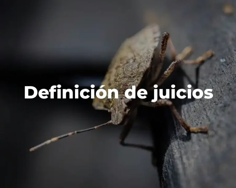 Definición de juicios