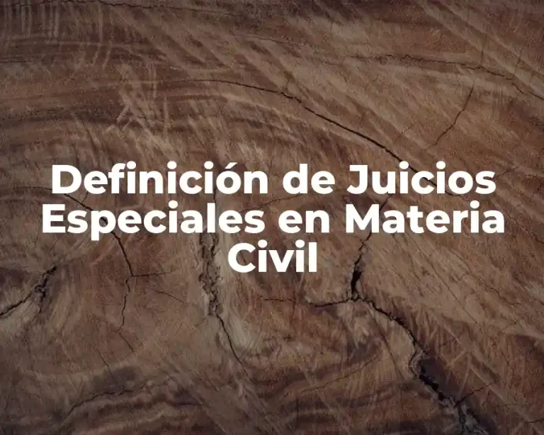 Definición de Juicios Especiales en Materia Civil