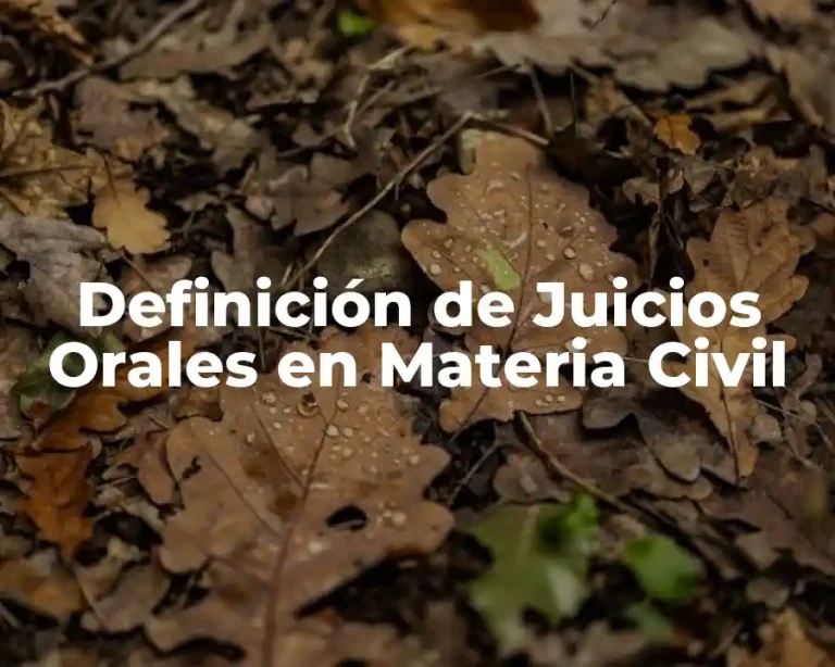 Definición de Juicios Orales en Materia Civil