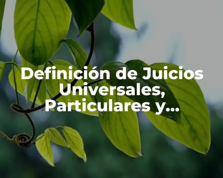 Definición de Juicios Universales, Particulares y Singulares