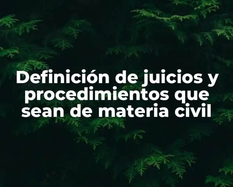 Definición de juicios y procedimientos que sean de materia civil