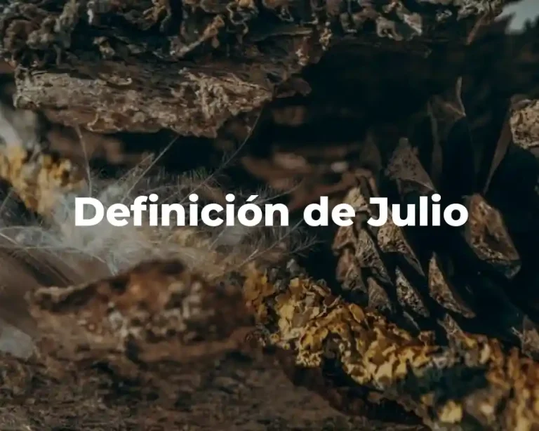 Definición de Julio