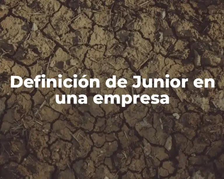 Definición de Junior en una empresa