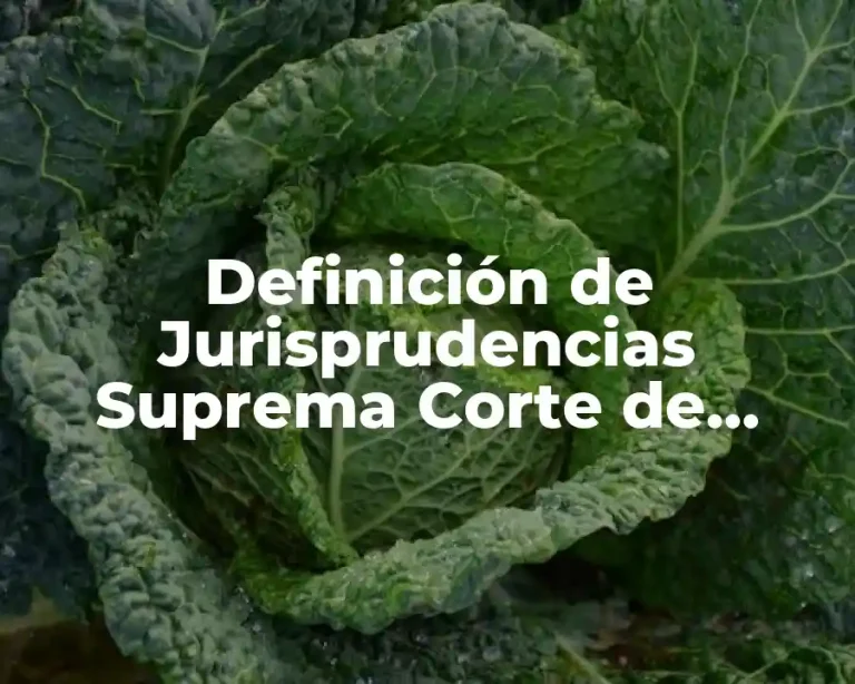 Definición de Jurisprudencias Suprema Corte de Justicia de la Nación