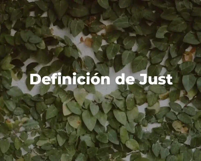 Definición de Just