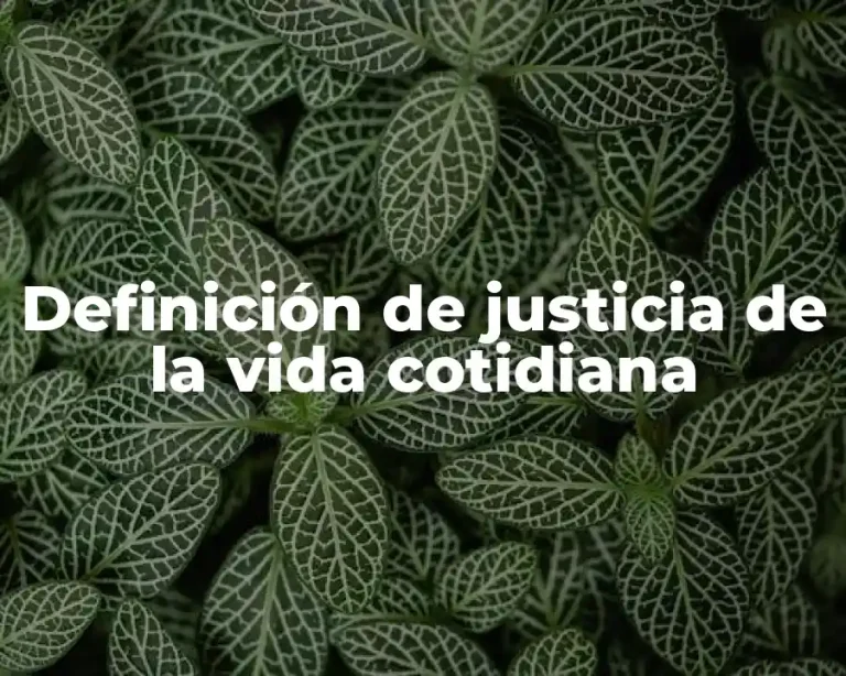 Definición de justicia de la vida cotidiana
