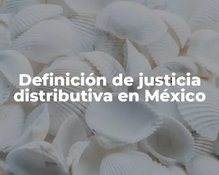 Definición de justicia distributiva en México