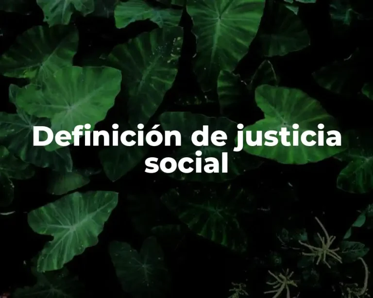 Definición de justicia social