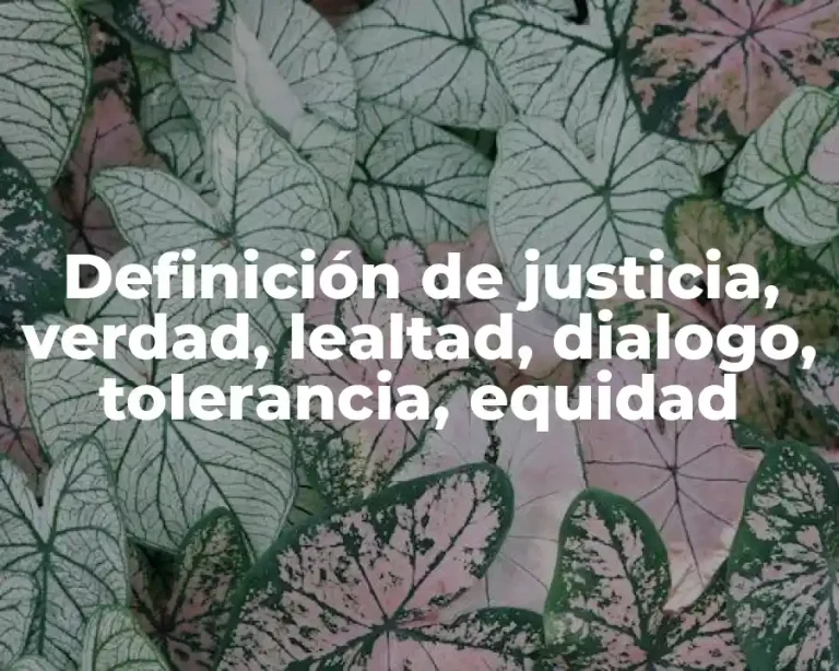 Definición de justicia, verdad, lealtad, dialogo, tolerancia, equidad