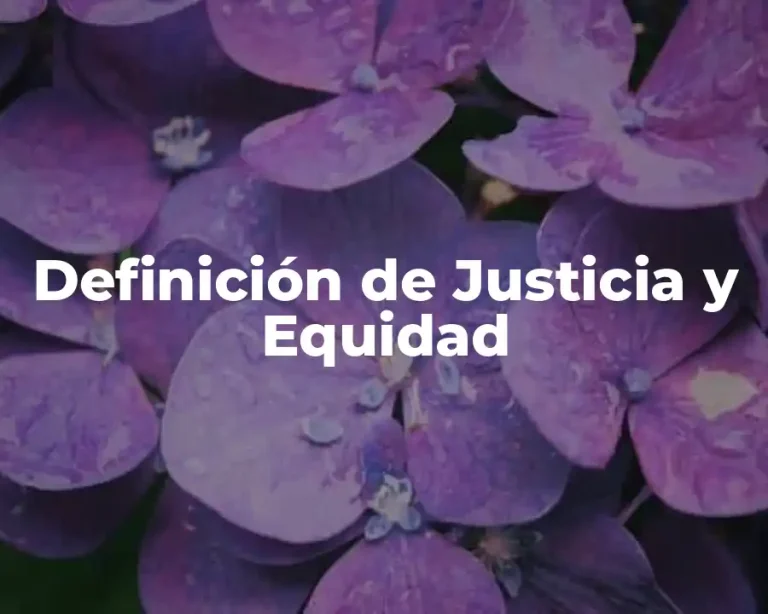 Definición de Justicia y Equidad