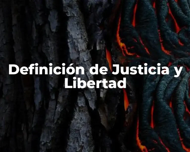 Definición de Justicia y Libertad