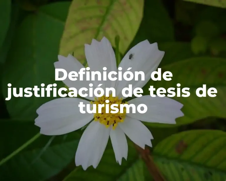 Definición de justificación de tesis de turismo