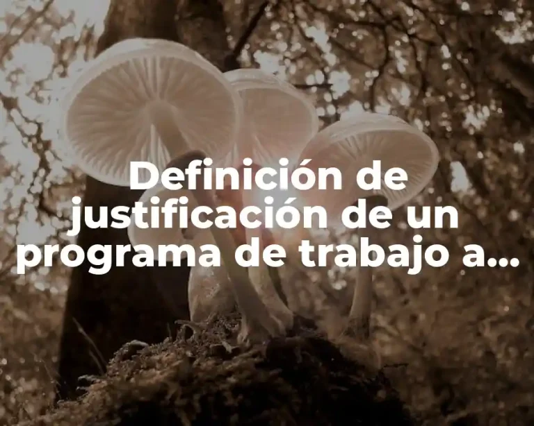 Definición de justificación de un programa de trabajo a niños