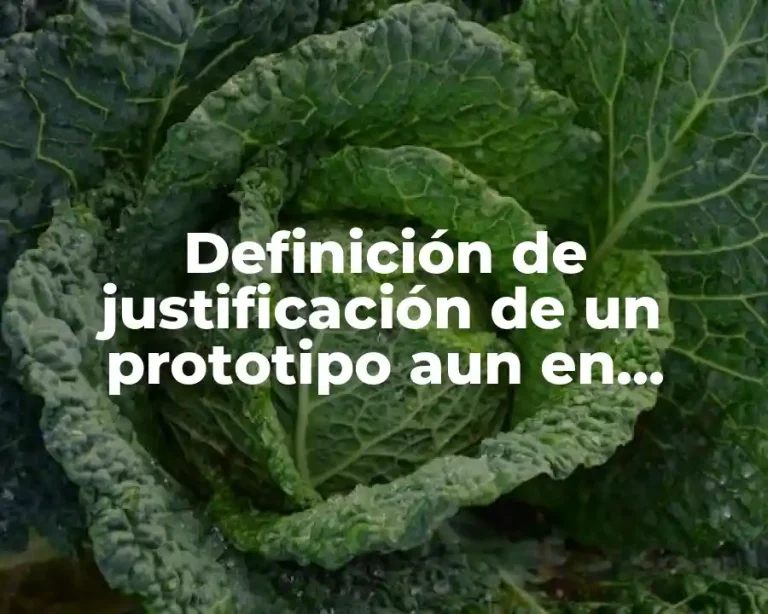 Definición de justificación de un prototipo aun en experimento