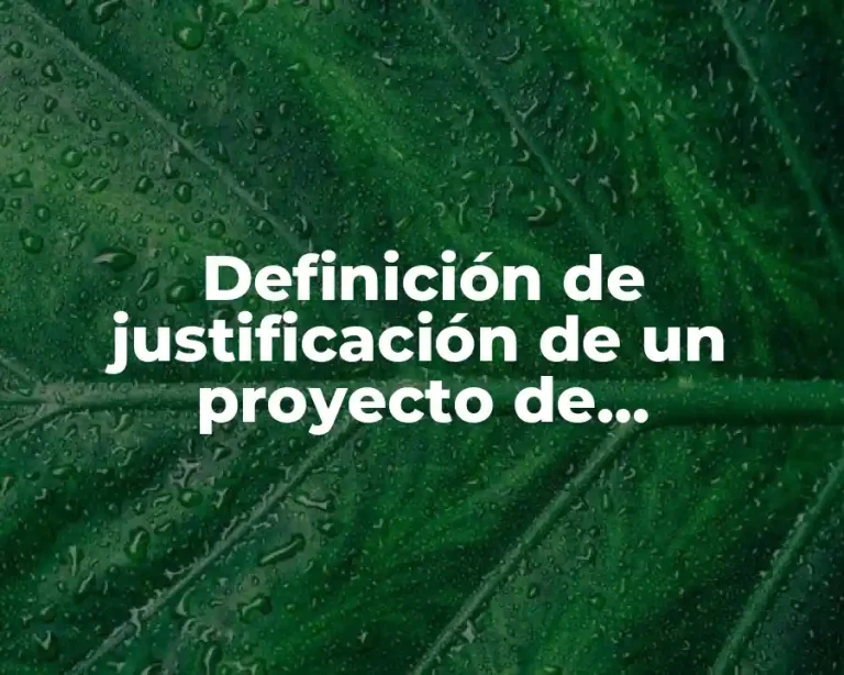 Definición de justificación de un proyecto de investigación en salud
