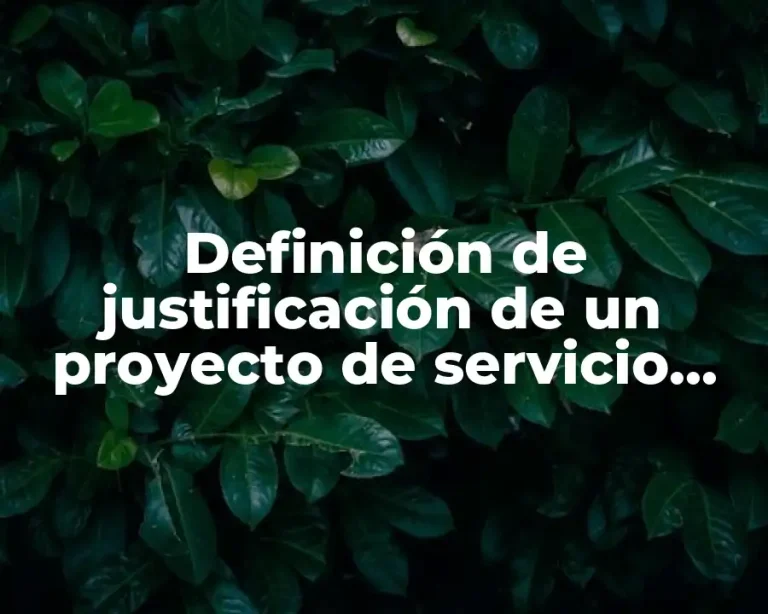 Definición de justificación de un proyecto de servicio social