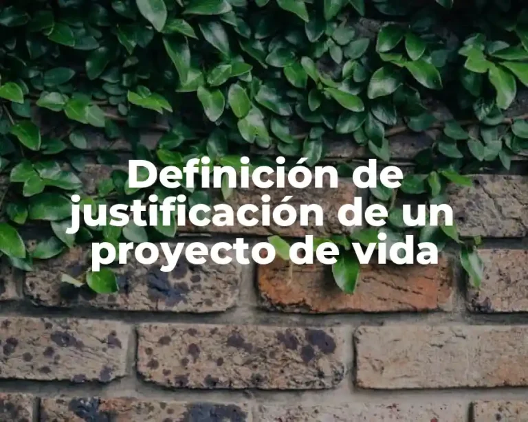 Definición de justificación de un proyecto de vida