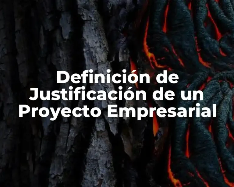 Definición de Justificación de un Proyecto Empresarial