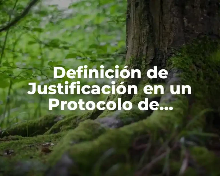 Definición de Justificación en un Protocolo de Investigación Ejemplo