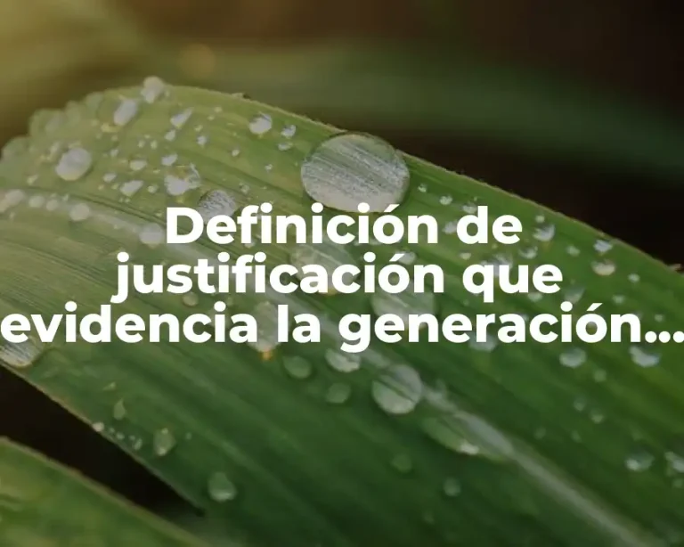 Definición de justificación que evidencia la generación de riqueza