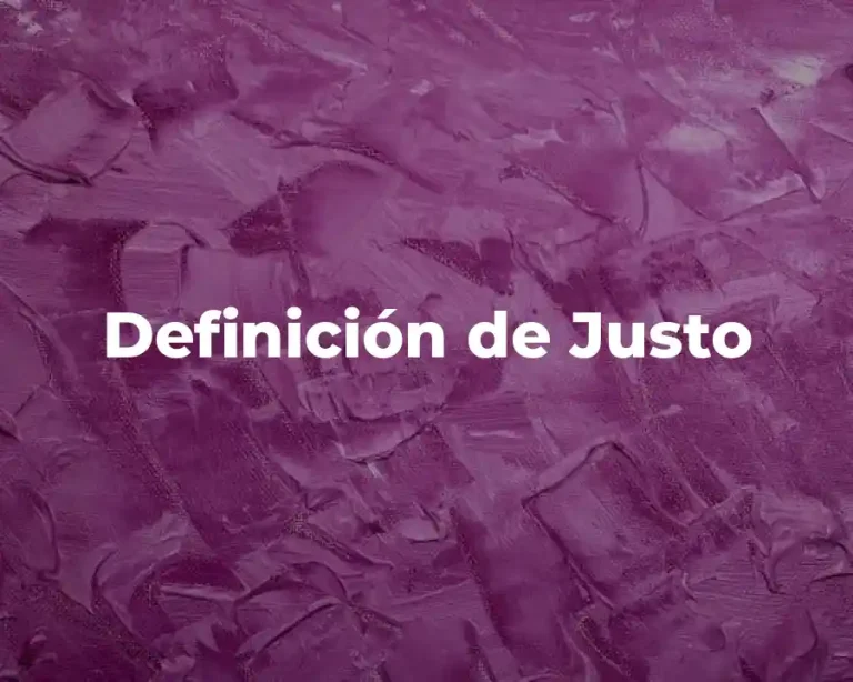 Definición de Justo
