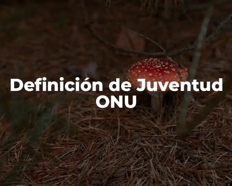 Definición de Juventud ONU