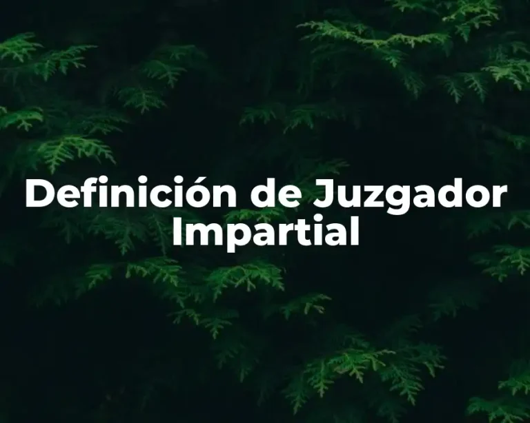 Definición de Juzgador Impartial