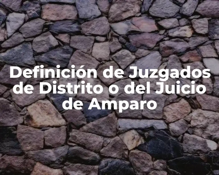 Definición de Juzgados de Distrito o del Juicio de Amparo