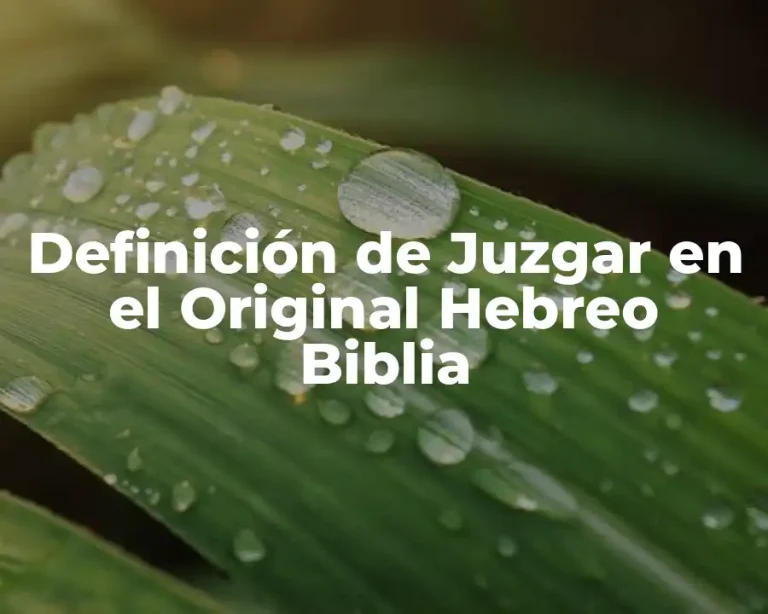 Definición de Juzgar en el Original Hebreo Biblia