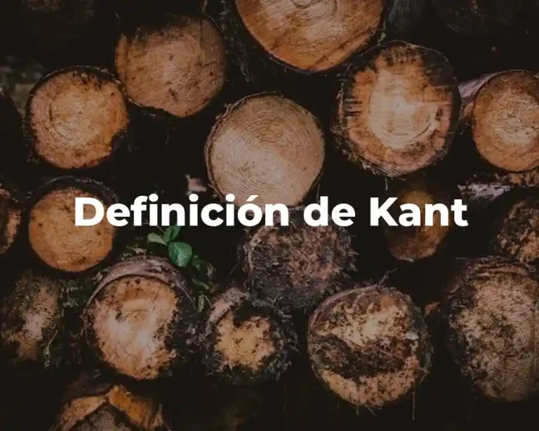 Definición de Kant