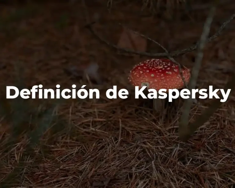 Definición de Kaspersky