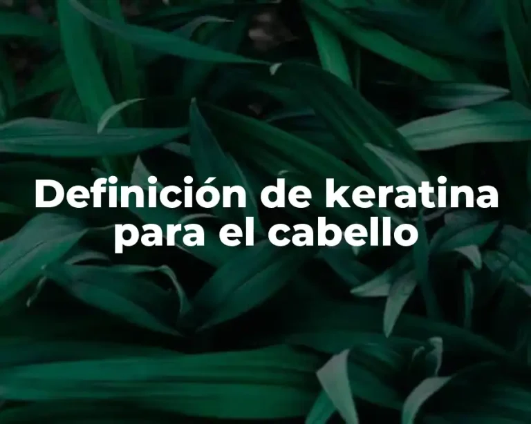 Definición de keratina para el cabello