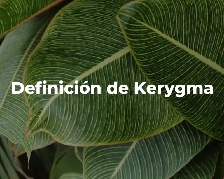 Definición de Kerygma
