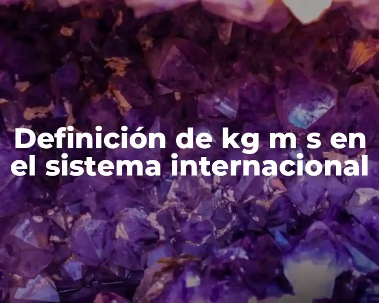 Definición de kg m s en el sistema internacional