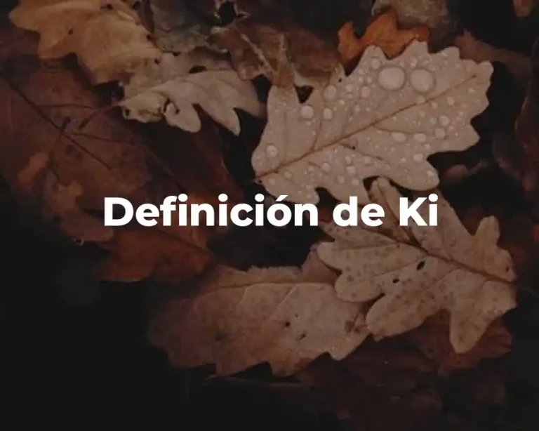 Definición de Ki