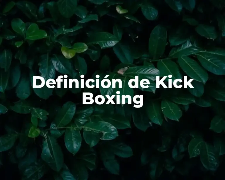 Definición de Kick Boxing